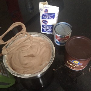 Let's Make Chocolate Ice Cream 2